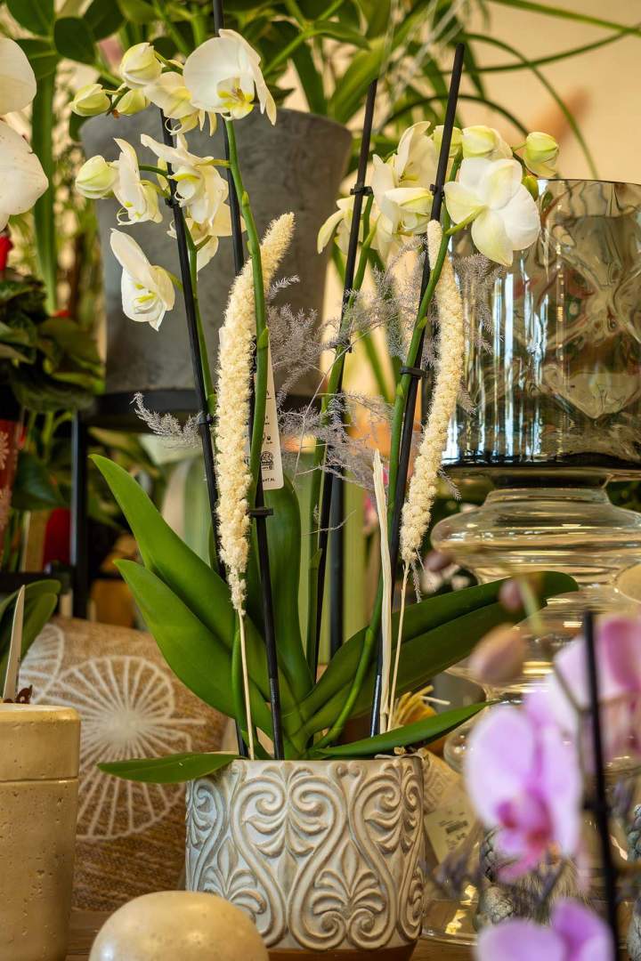 Fleuriste expert Cognac