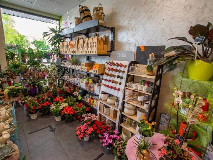 Boutique de fleurs Cognac