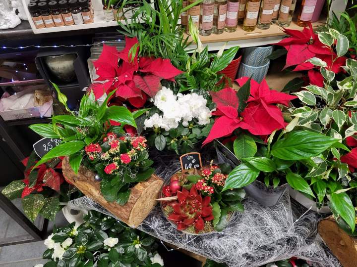 Vente de fleurs fraîches Cognac