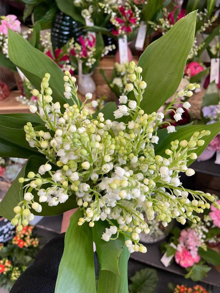 Composition florale Cognac