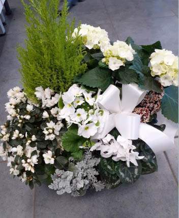 Composition florale avec fleurs fraîches Cognac