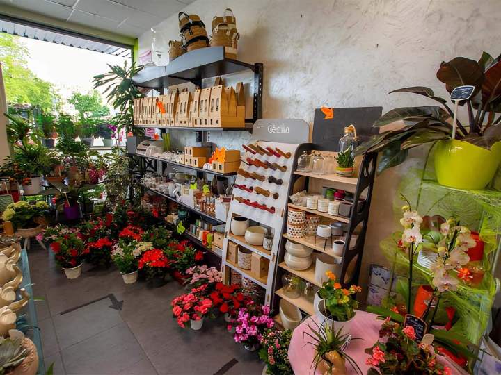 La boutique Tamango Fleurs est passée maître dans l’art de la création de bouquets et la vente de fleurs à Cognac.