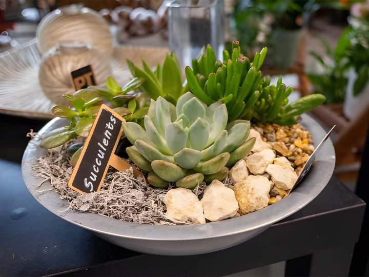 Rendez-vous dans notre boutique de fleurs à Cognac et découvrez nos sublimes collections florales.