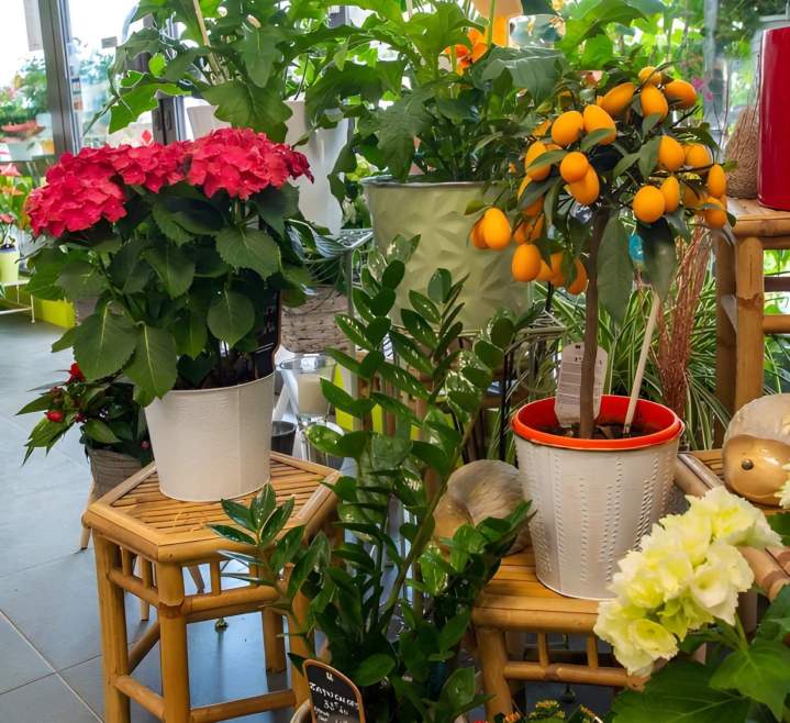 Fleuriste expérimenté Cognac