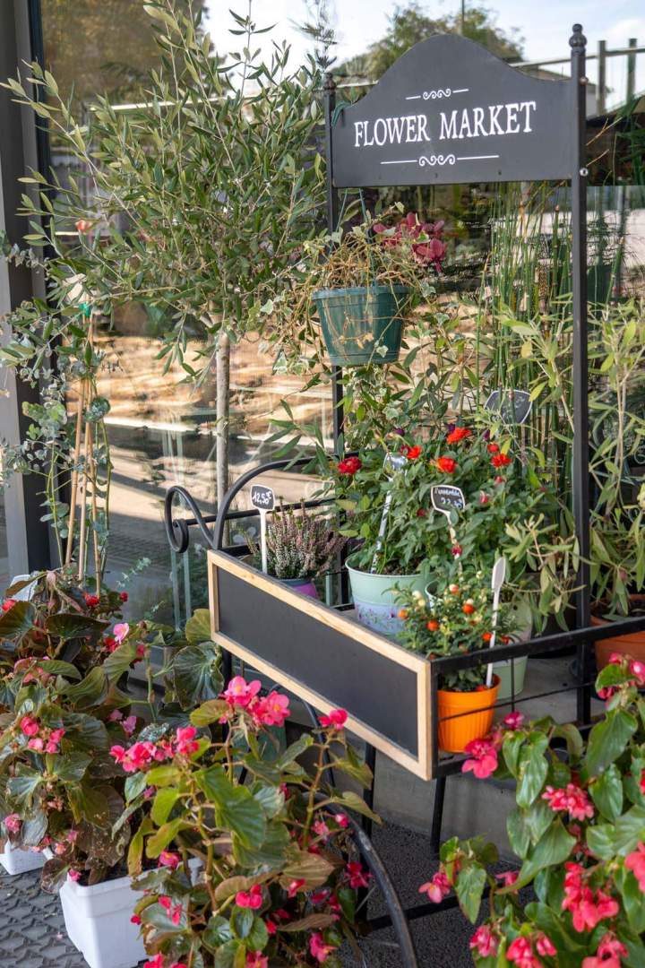 Boutique de fleurs Cognac