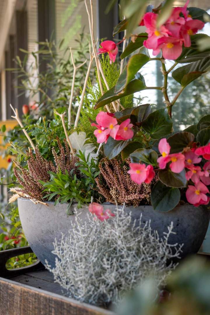 Boutique de fleurs Cognac