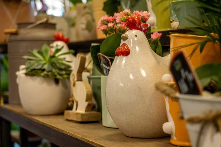 Boutique de fleurs Cognac