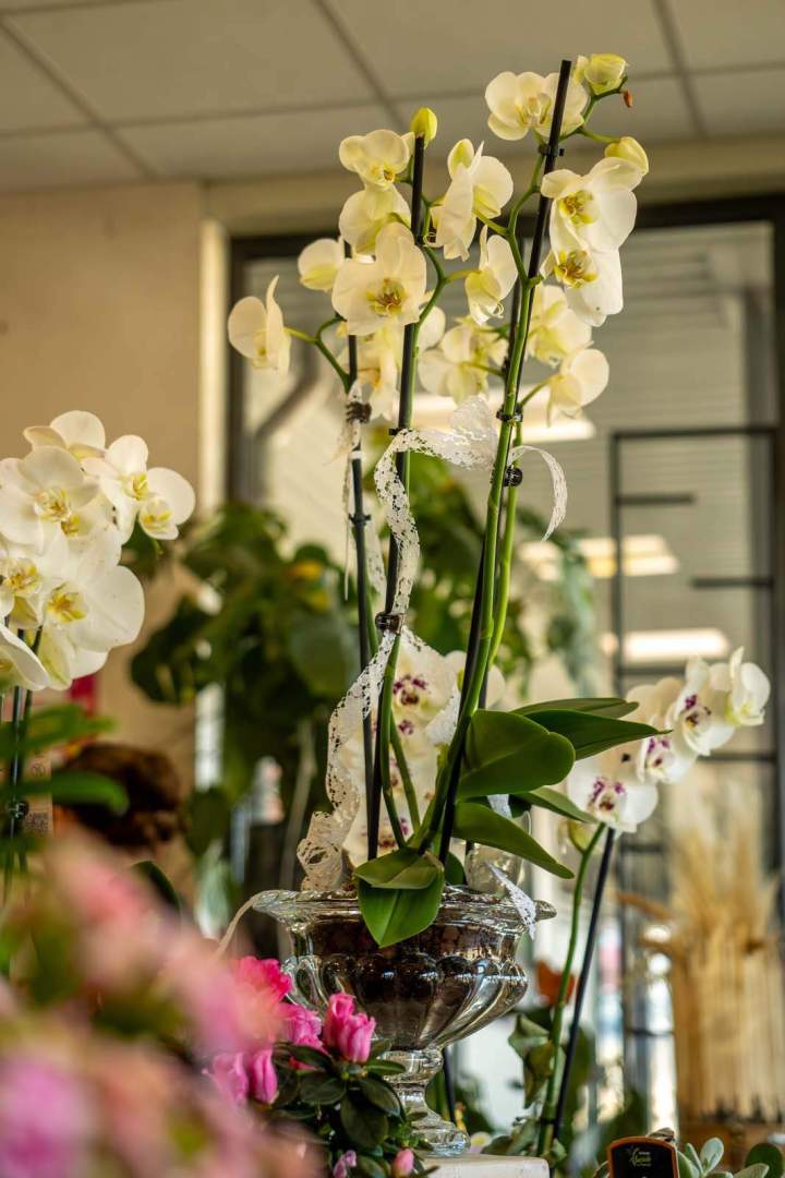 Boutique de fleurs Cognac