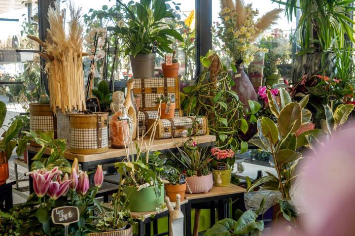 Boutique de fleurs Cognac