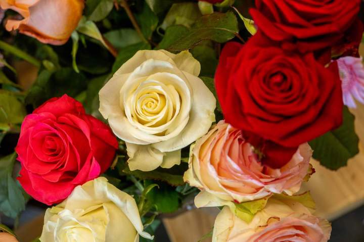 Boutique de fleurs Cognac