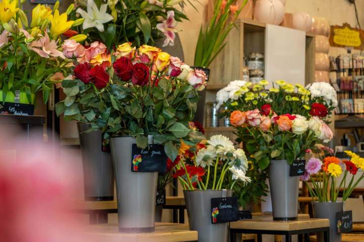 Boutique de fleurs Cognac