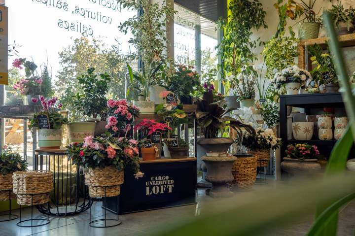 Boutique de fleurs Cognac