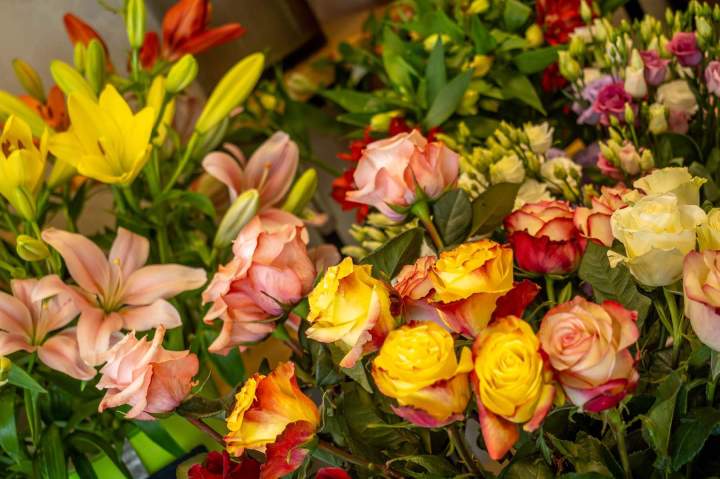 Boutique de fleurs Cognac