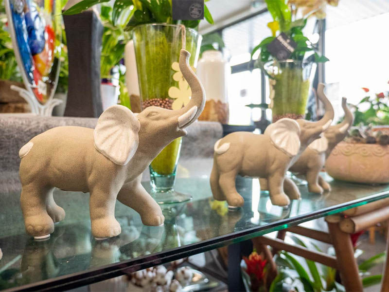 Boutique de fleurs Jarnac
