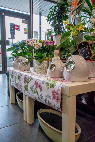 Des accessoires pour vos soirées Cognac