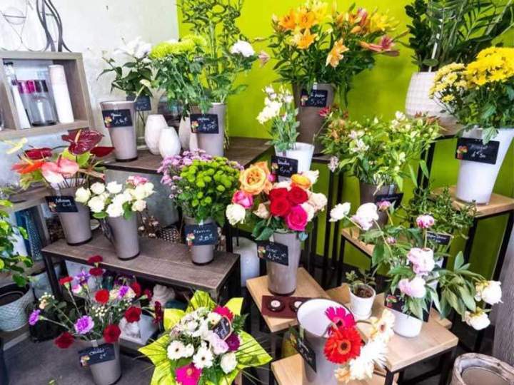 Vente de fleurs fraîches Cognac